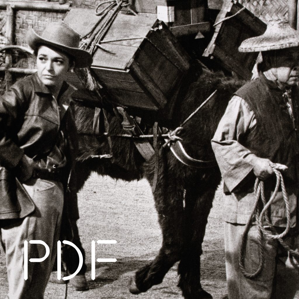 Apaches n°4 - PDF